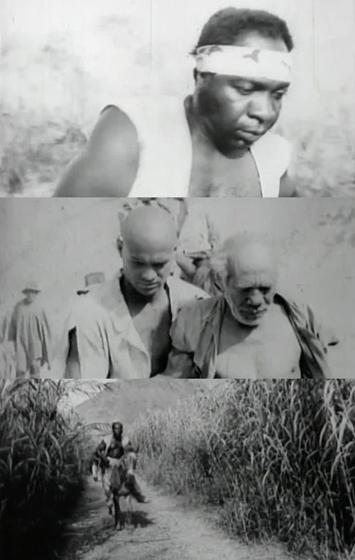 Cimarrones (1983) poster