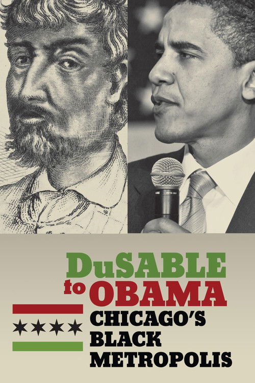 DuSable to Obama: Chicago's Black Metropolis (2010) poster