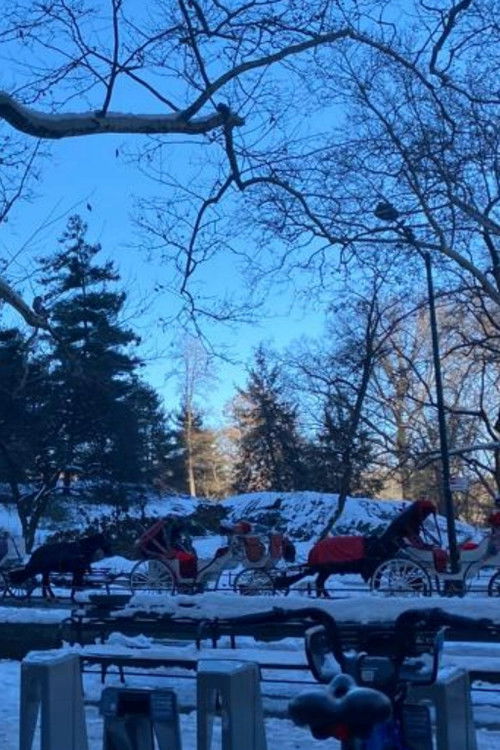 Winter Dance (2022) poster