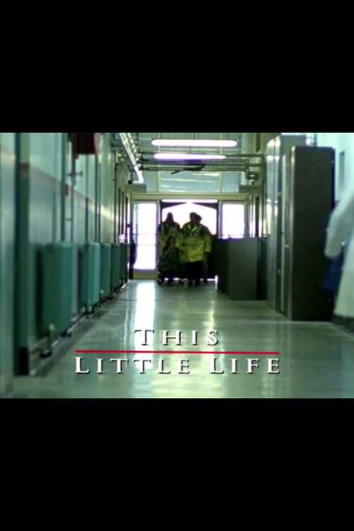 This Little Life (2003) poster