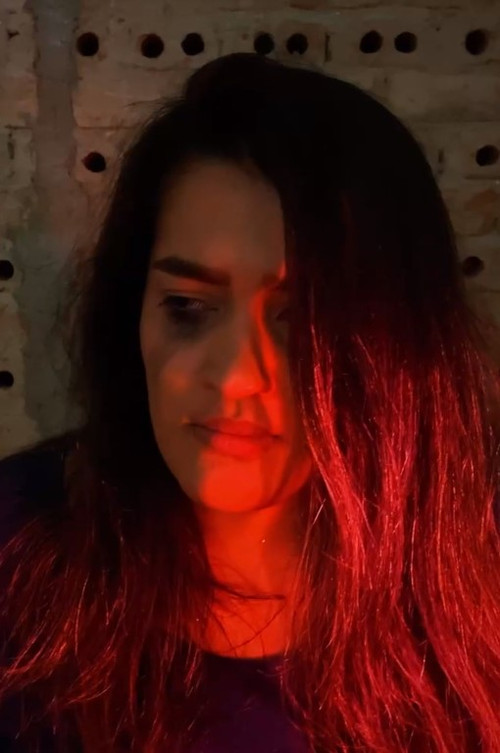 Carneirinhos (2022) poster