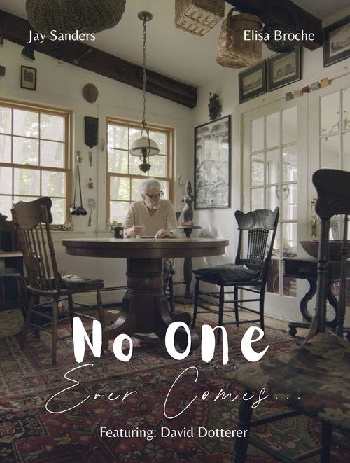 No One Ever Comes poster