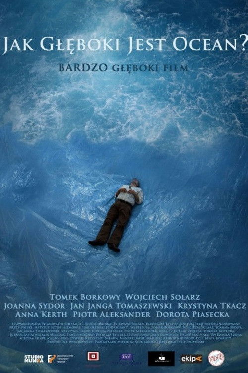 How Deep Is the Ocean? (2013) poster