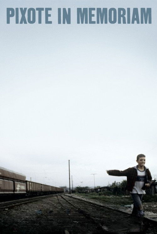 Pixote In Memoriam (2007) poster