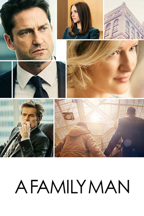 Aile Babası (2016) poster
