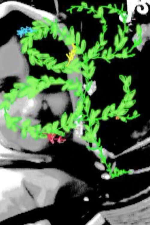 sorina street (2002) poster