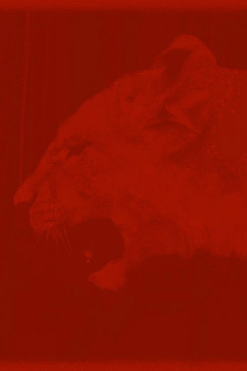 Salammbô (2022) poster