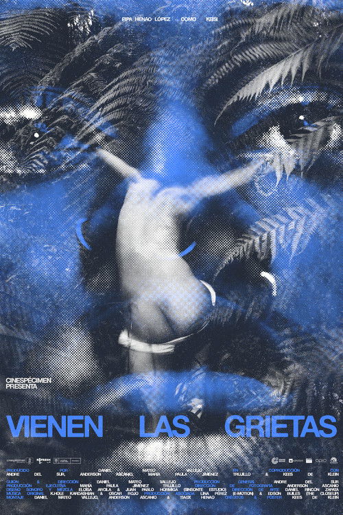 Cracks Will Come (2022) poster