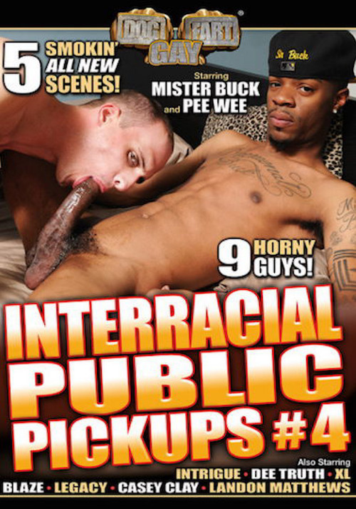 Interracial Public Pickups 4 (2015) poster