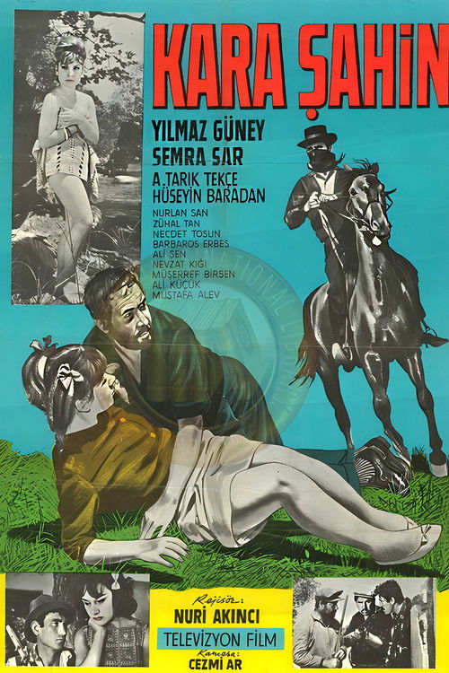 Kara Şahin (1964) poster