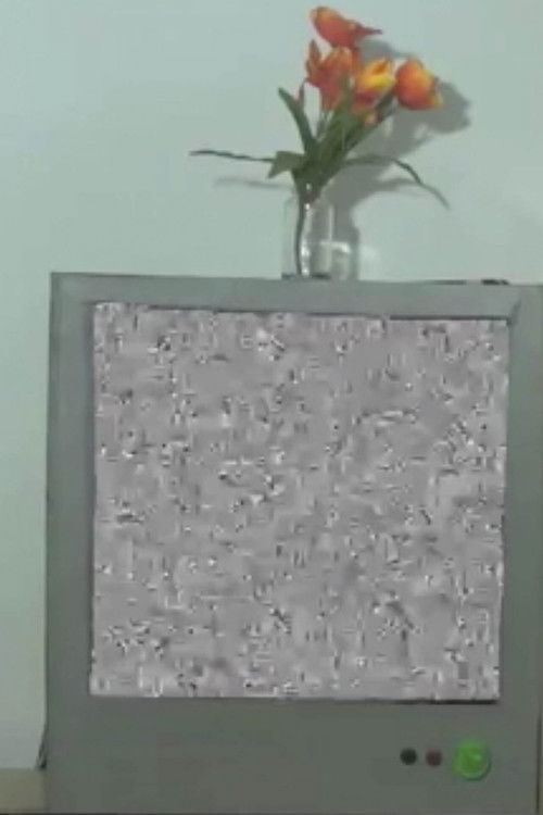 CheapTV (2012) poster