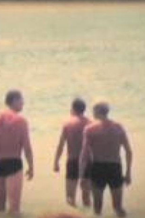 Tarde de verano (2010) poster