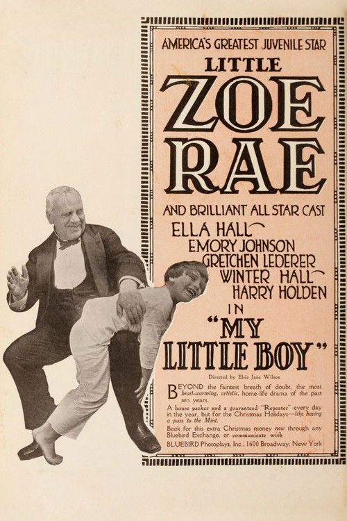 My Little Boy (1917) poster