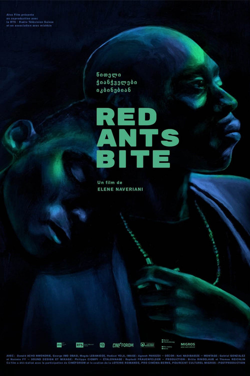 Red Ants Bite (2021) poster