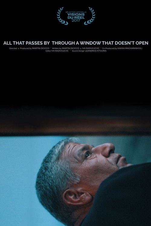 All That Passes by Through a Window That Doesn't Open (2017) poster