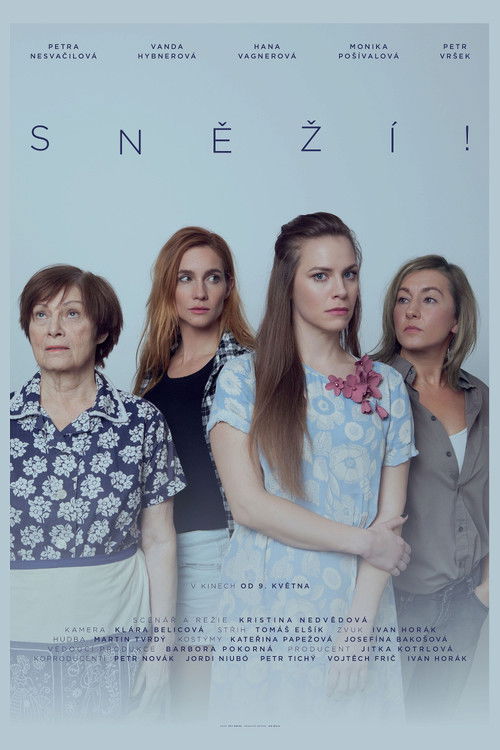 Sněží! (2019) poster