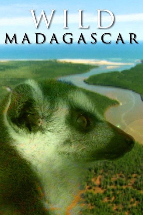 Wild Madagascar poster