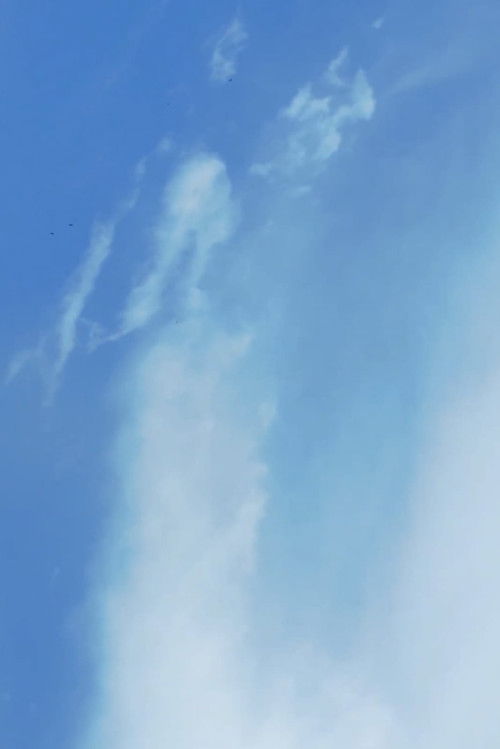 Brasil (2024) poster