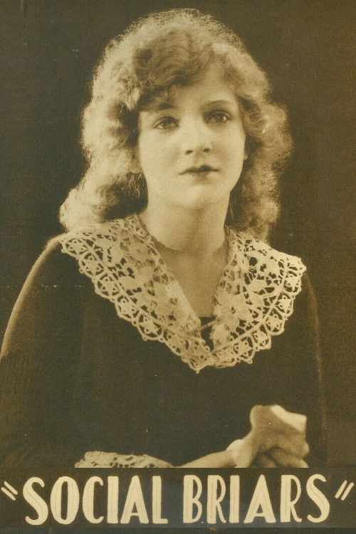 Social Briars (1918) poster