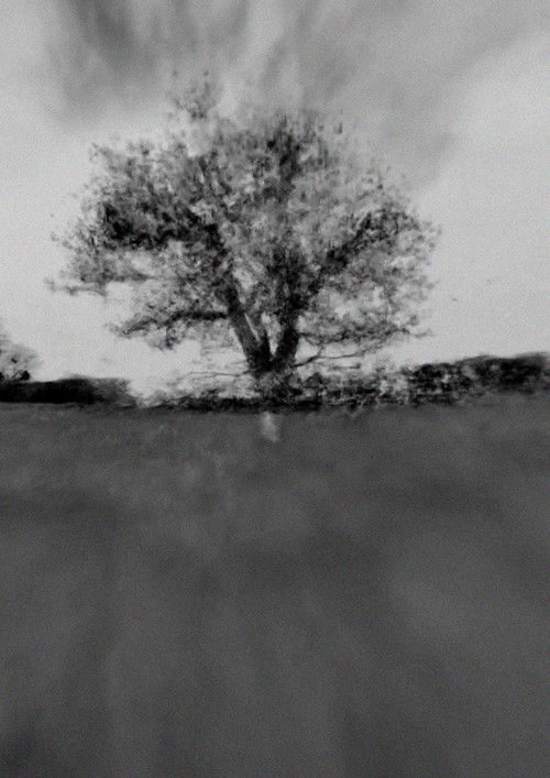 North Western Relief Road (2024) poster