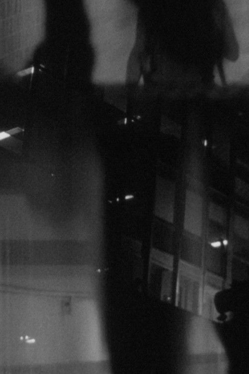 Night Reflection (IV) (2020) poster