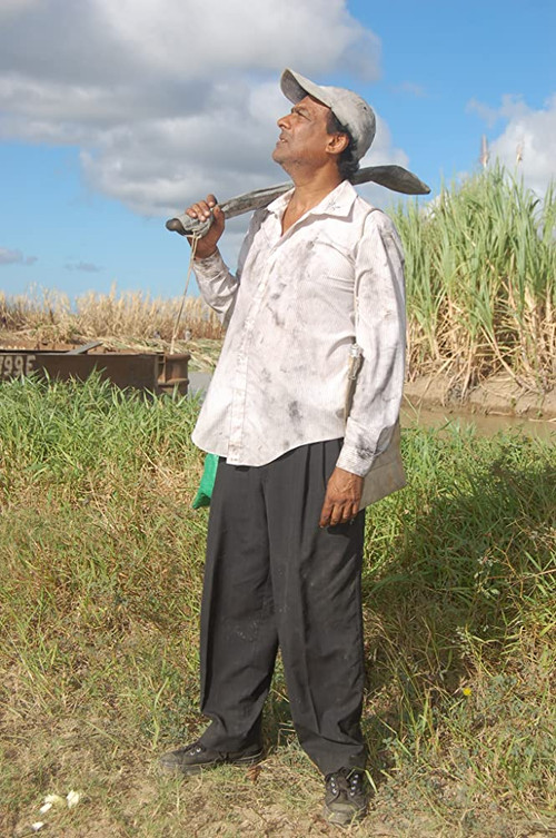 Brown Sugar Too Bitter for Me (2013) poster