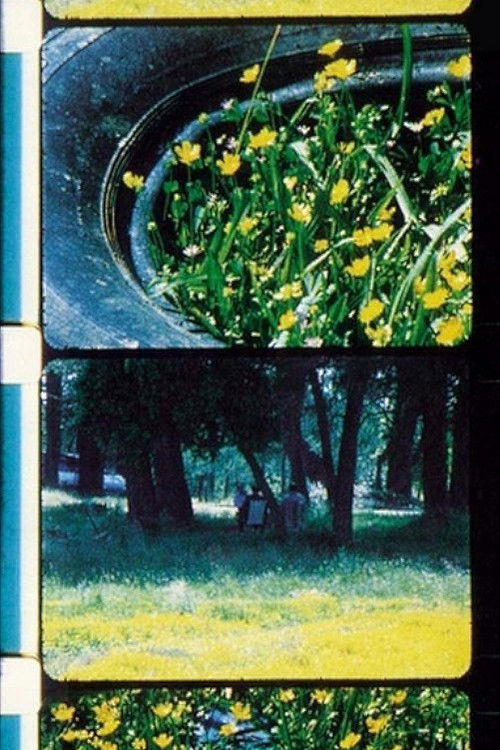 Bouquets 1-10 (1995) poster