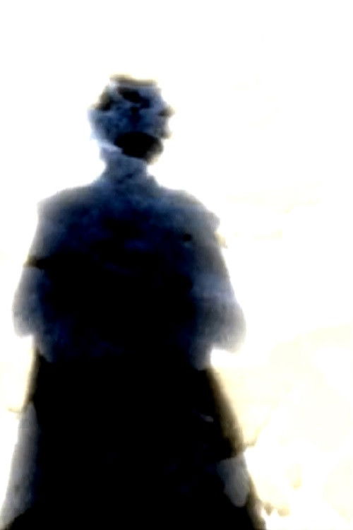 Split Infinities: Self-Portrait Reconsidered (2017) poster