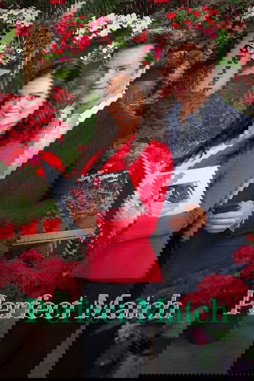 Perfect Match (2015) poster