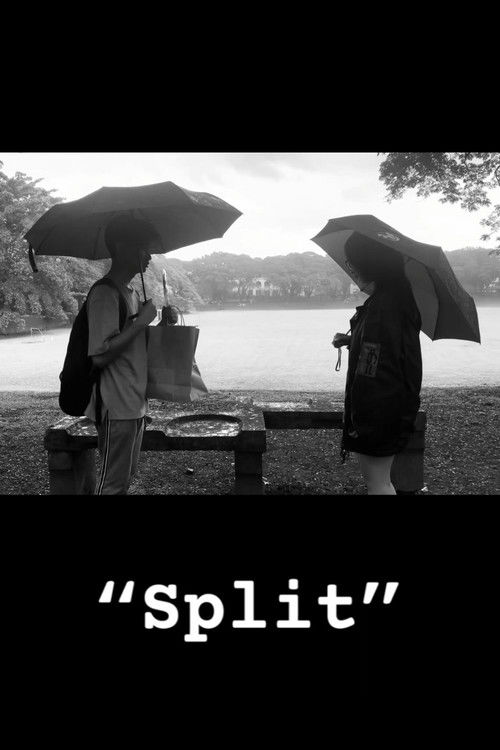 Split (2023) poster