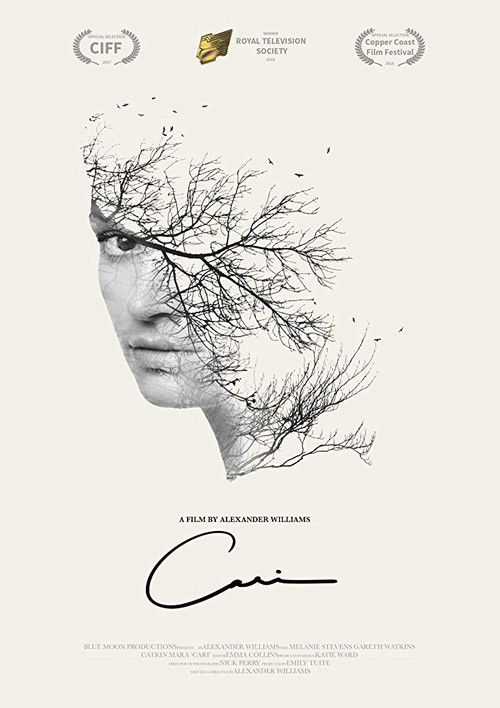 Cari (2018) poster