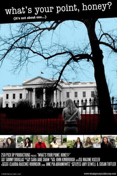 What's Your Point Honey (2008) poster