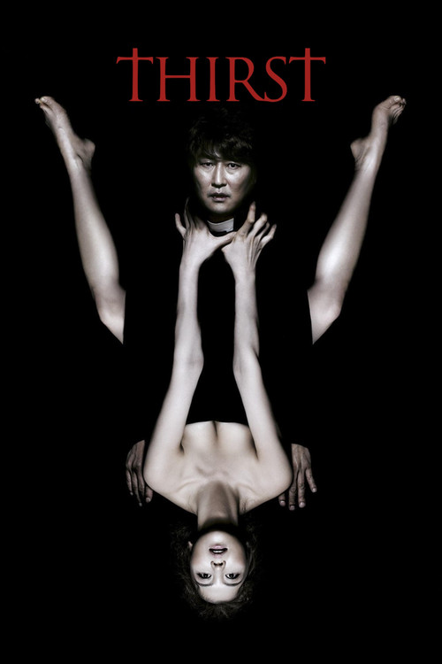 Kan Arzusu (2009) poster