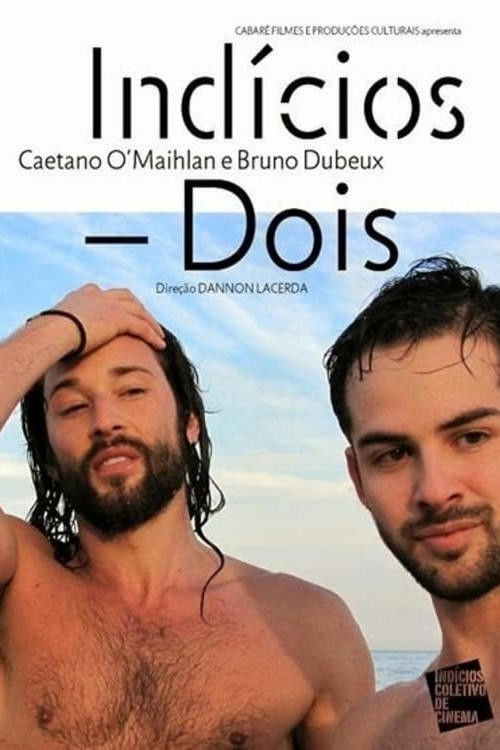 Indícios Dois (2012) poster