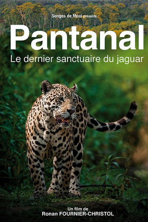 Pantanal, le dernier sanctuaire du jaguar (2010) poster