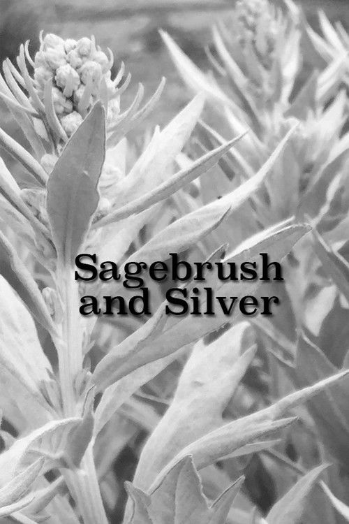 Sagebrush and Silver (1941) poster