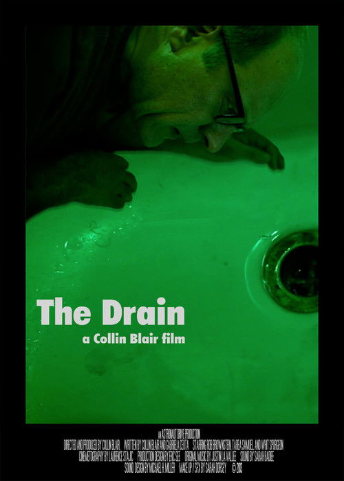 The Drain (2013) poster