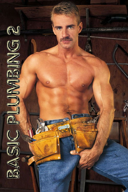 Basic Plumbing 2 (1998) poster