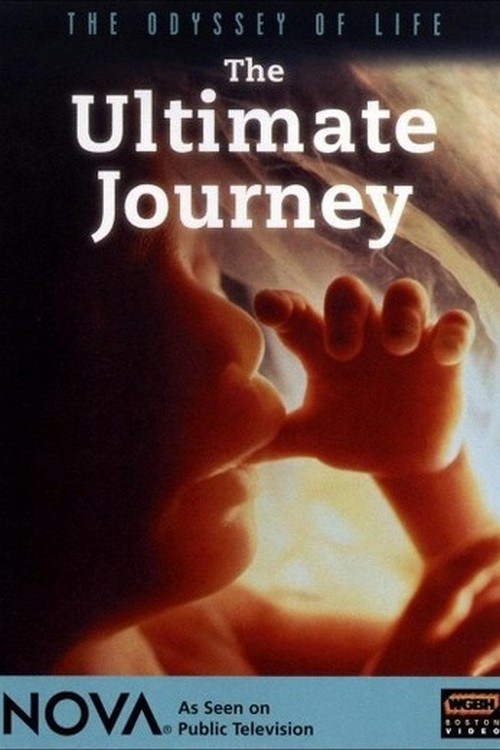 Odyssey of Life (1996) poster