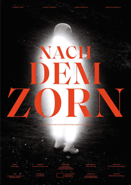 Nach dem Zorn poster