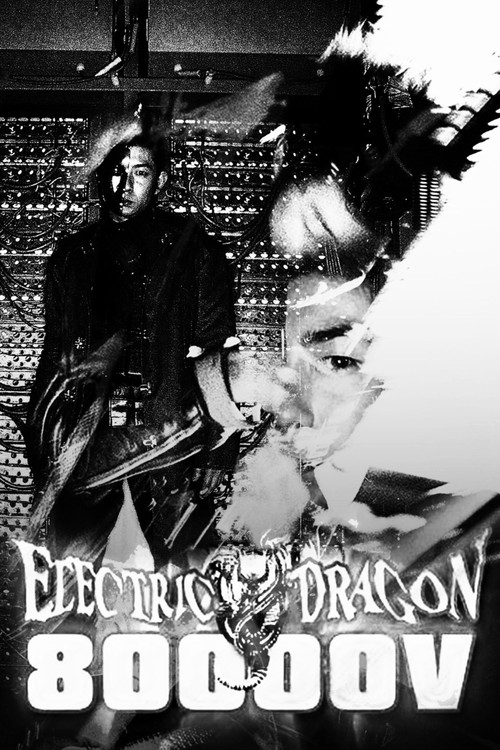 Electric Dragon 80000V (2001) poster