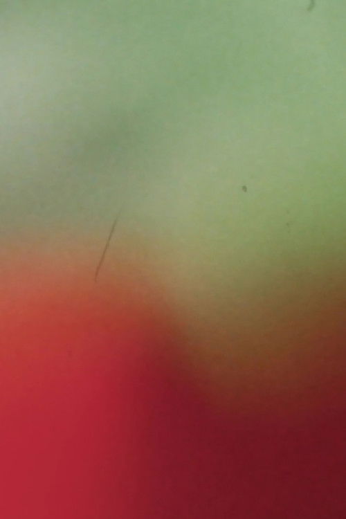 Light Licks: Pardes: Counting Flowers on the Wall (2018) poster