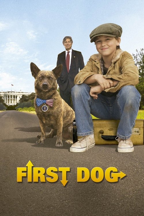 Başkan'ın Köpeği (2010) poster