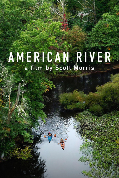 American River (2021) poster