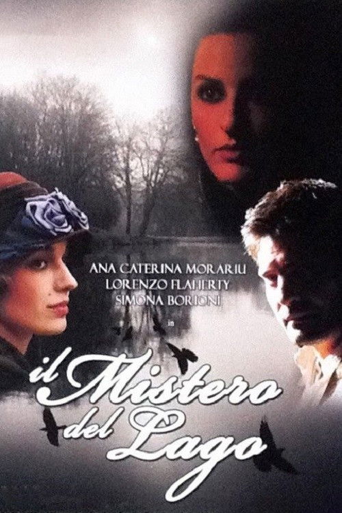 Il mistero del lago (2009) poster
