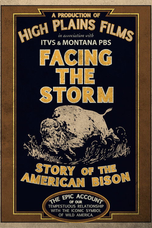 Facing the Storm: Story of the American Bison (2010) poster