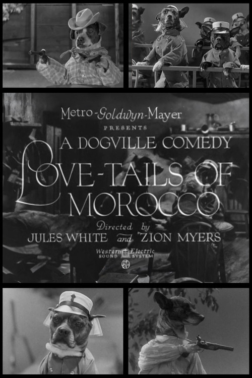 Love-Tails of Morocco (1931) poster