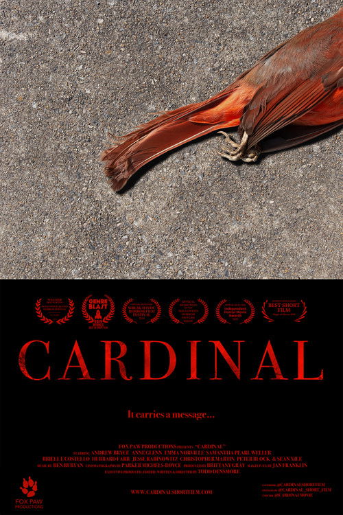 Cardinal (2020) poster