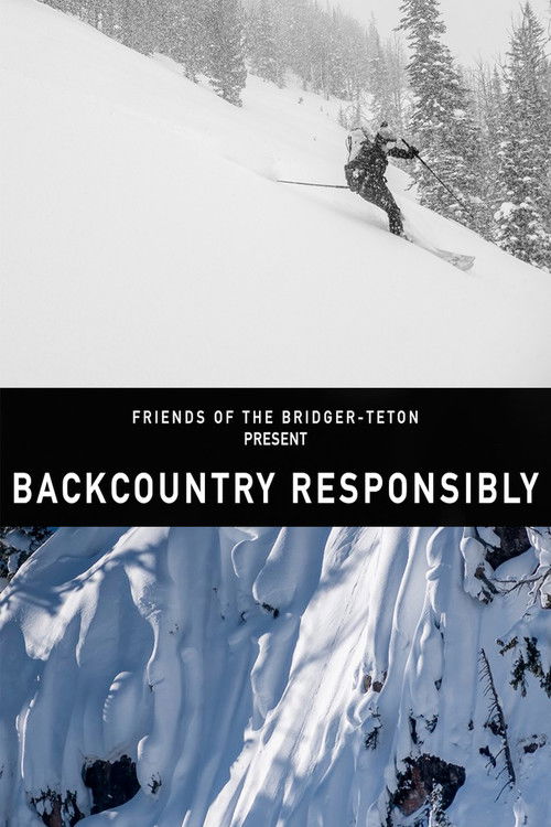 Backcountry Responsibility (2024) poster