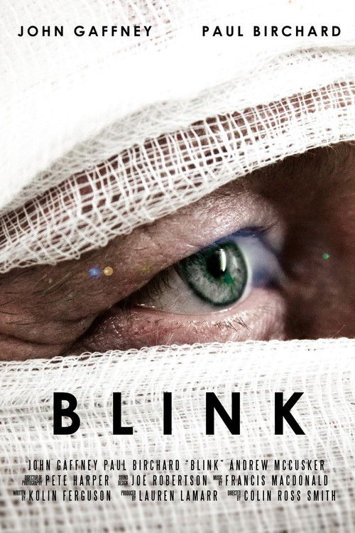 Blink (2013) poster